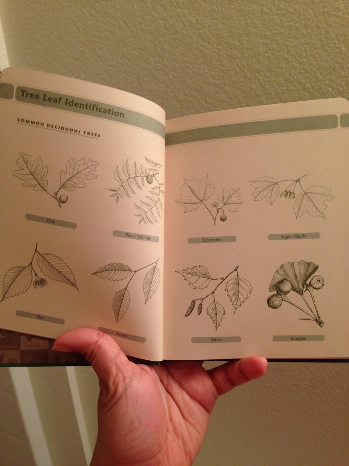 Nature Walk Journal customer photo 2