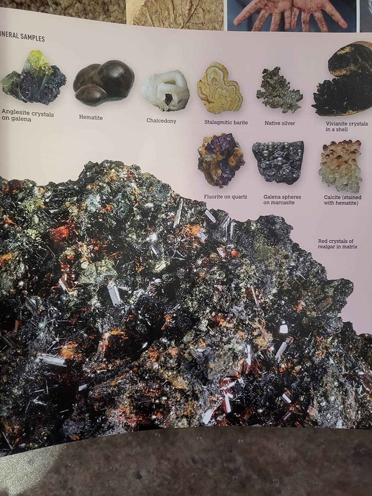 Rocks, Minerals & Gems customer photo 2