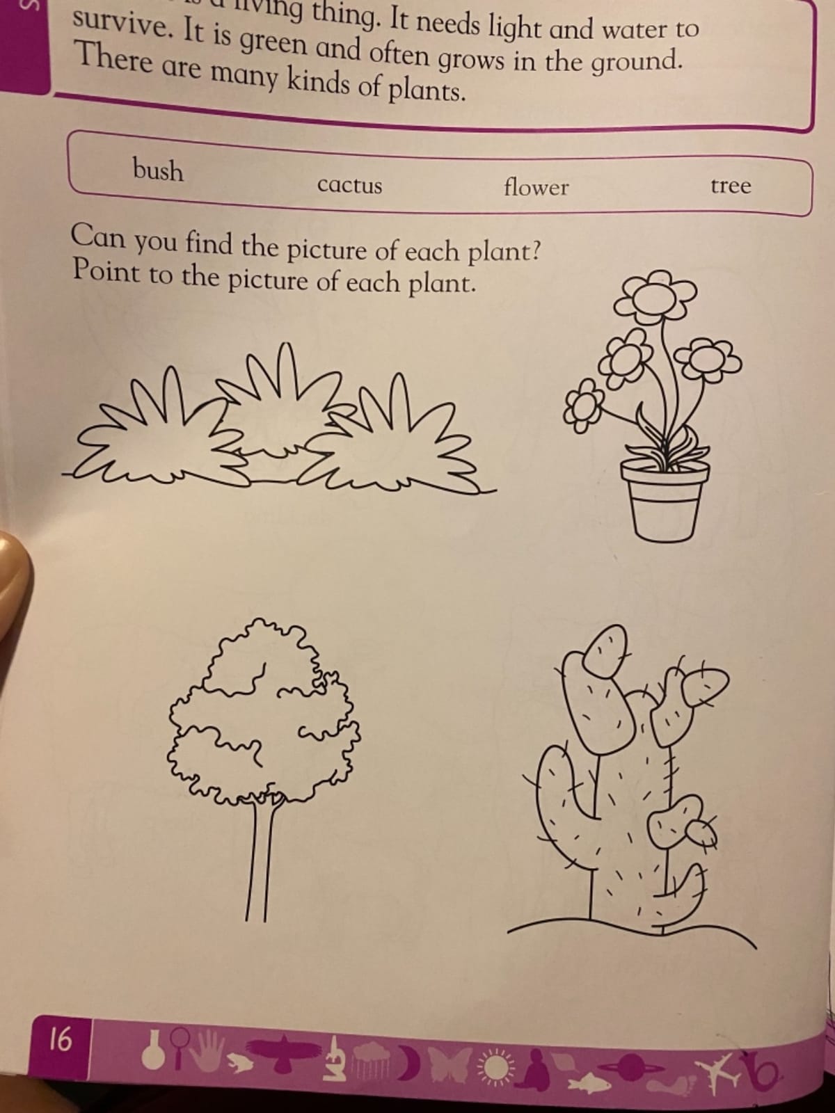 DK Workbooks: Science, Pre-K: Learn and Explore customer photo 1