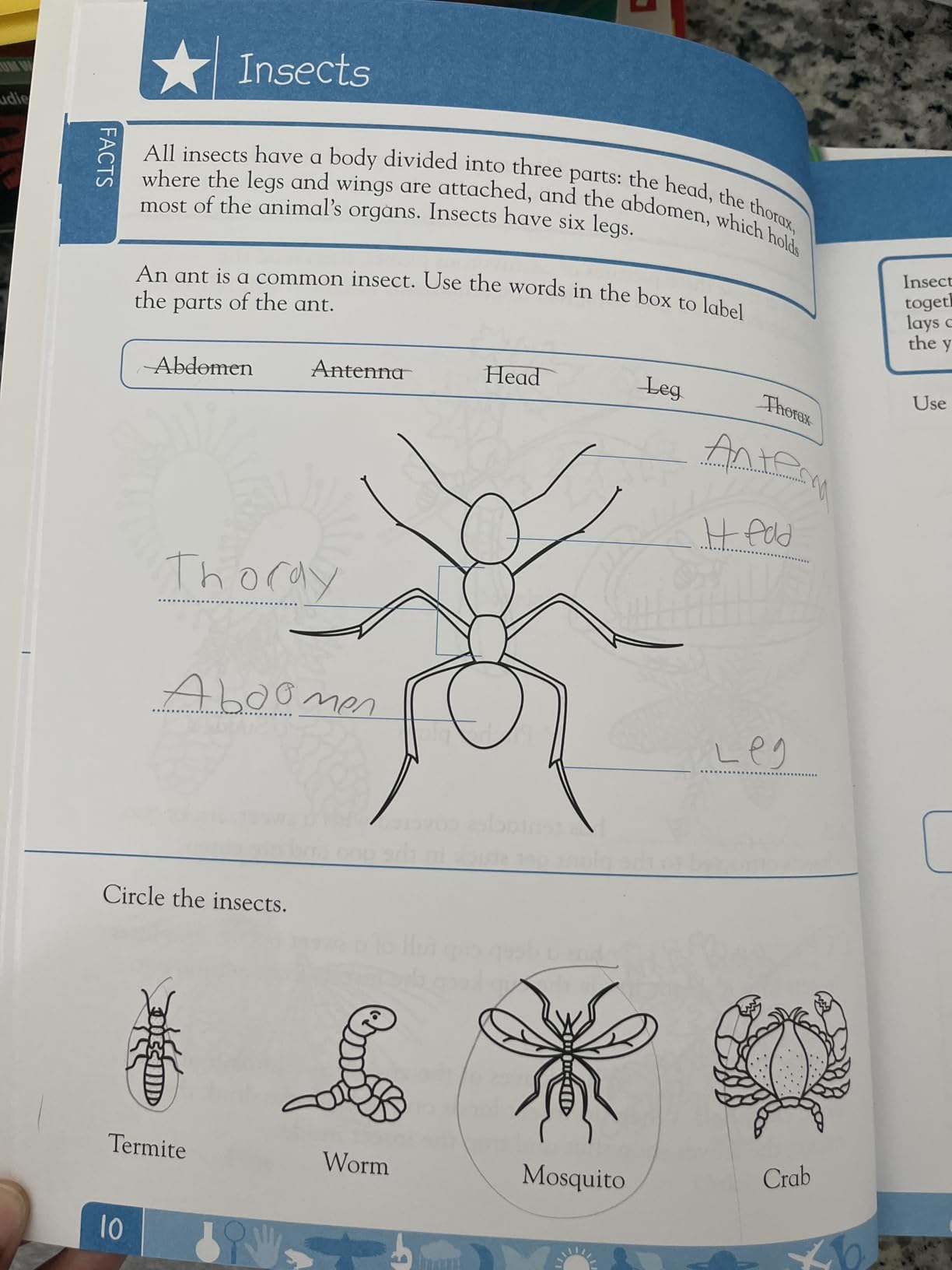 DK Workbooks: Science, Second Grade: Learn and Explore customer photo 2