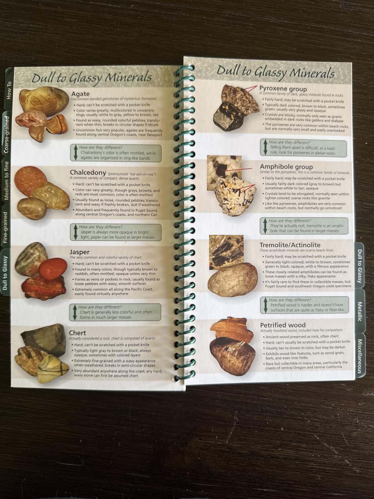 Rocks & Minerals of the Pacific Coast: Your Way to Easily Identify Rocks & Minerals (Adventure Quick Guides) customer photo 2