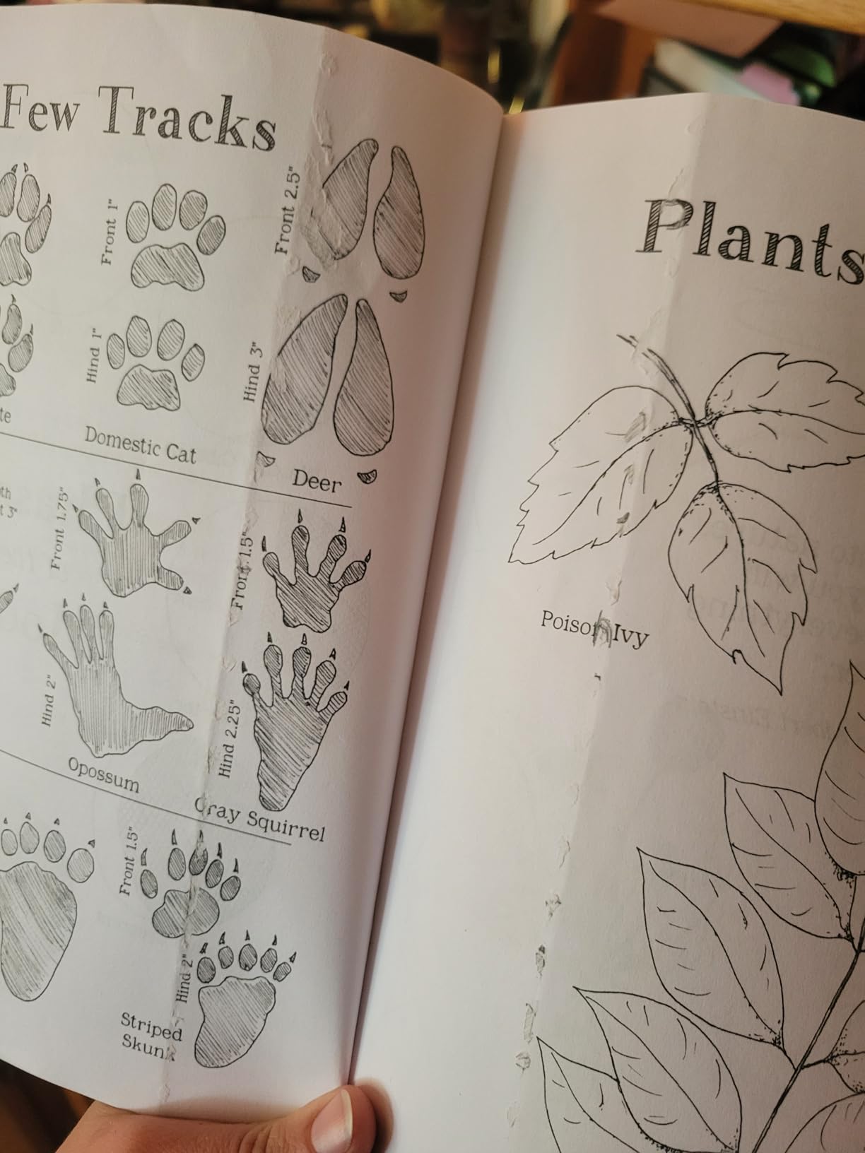 Nature Journal: A Kid's Nature Journal customer photo 1