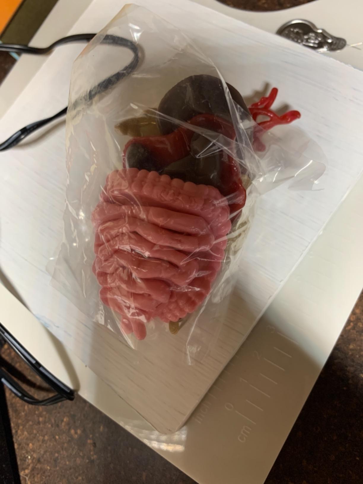SMARTLAB Toys Squishy Human Body with 21 Removable Body Parts with Anatomy Book customer photo 2