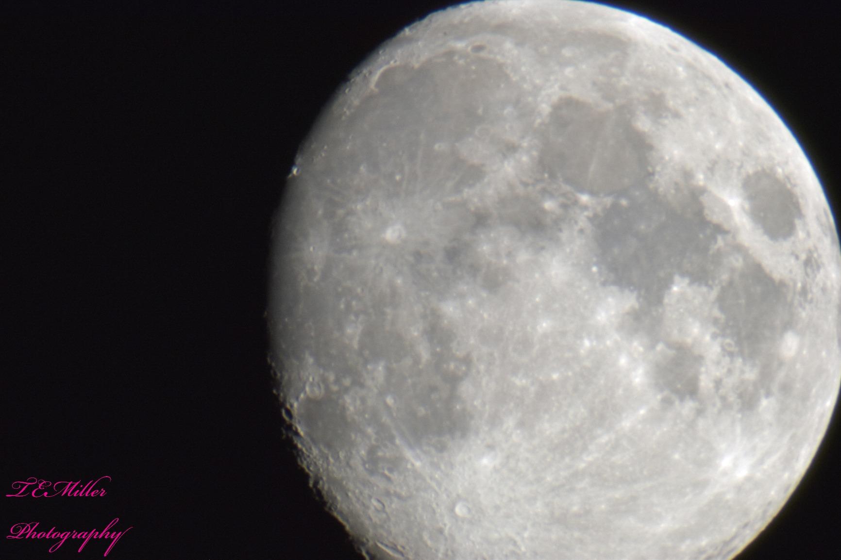 Celestron Universal 1.25