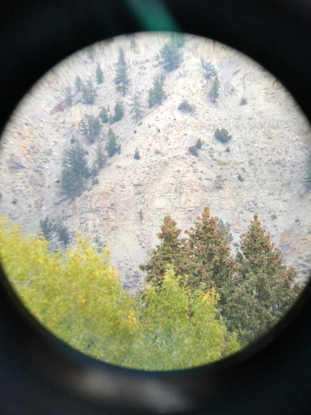 Bushnell Legacy WP customer photo 2