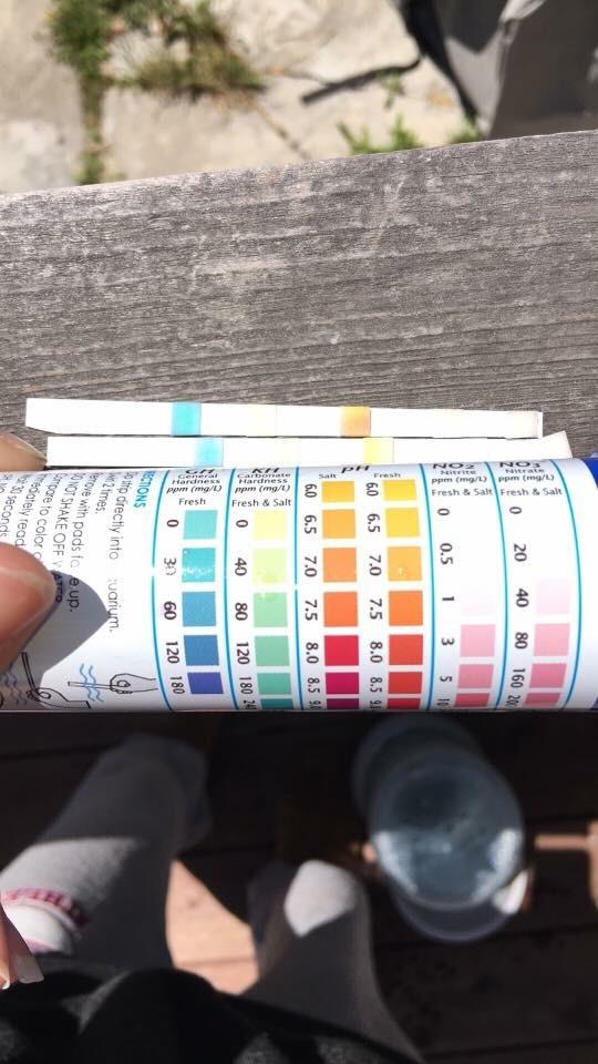 API 5-in-1 Test Strips Freshwater and Saltwater Aquarium Test Strips 25-Count Box customer photo 2