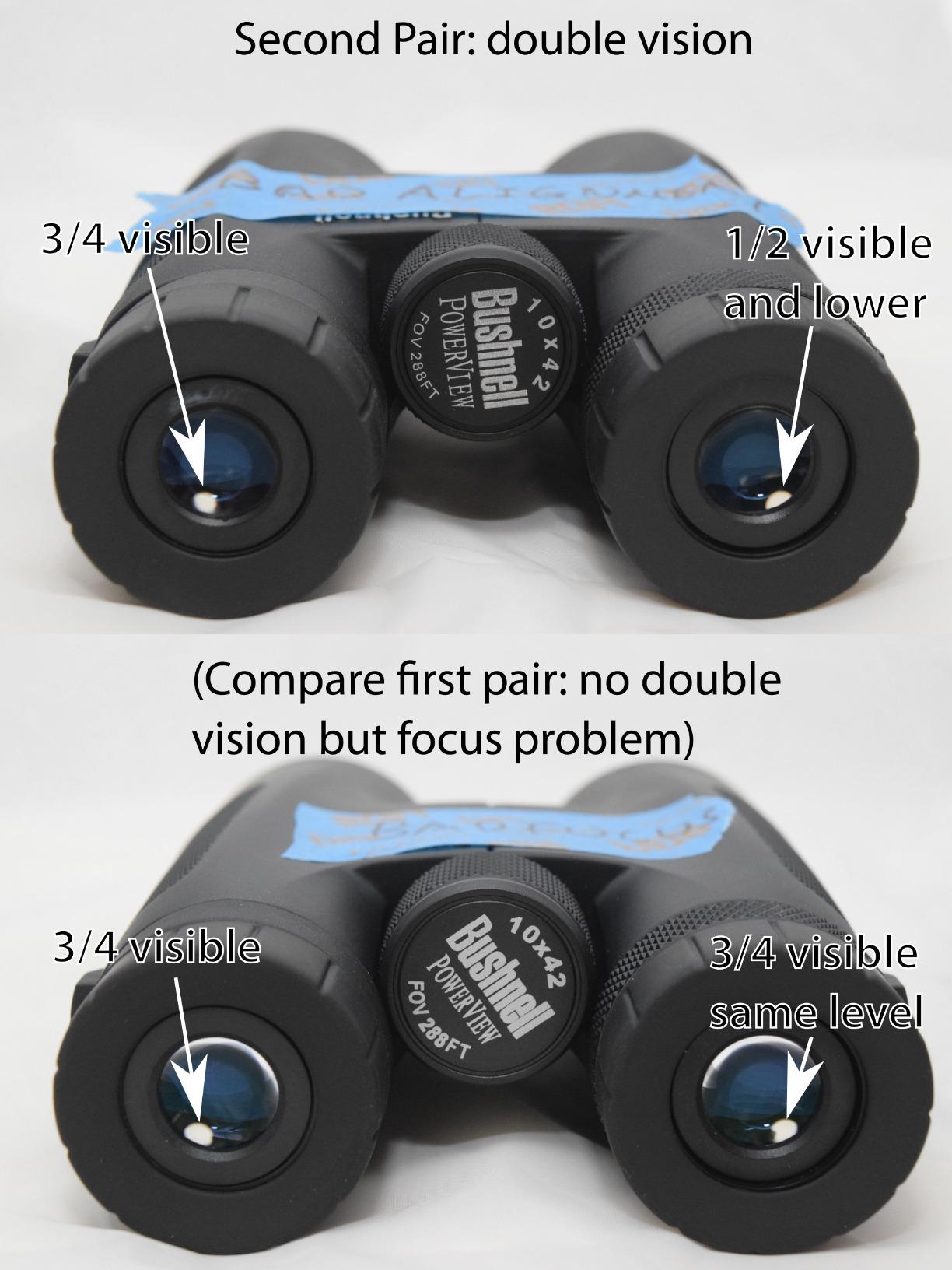 Bushnell 10 x 42 Powerview Roof Prism Binocular, Black | Compact & Foldable Design, Non-Slip Rubber Armor, Fully-Coated Optics, Smooth Center Focus Knob customer photo 1