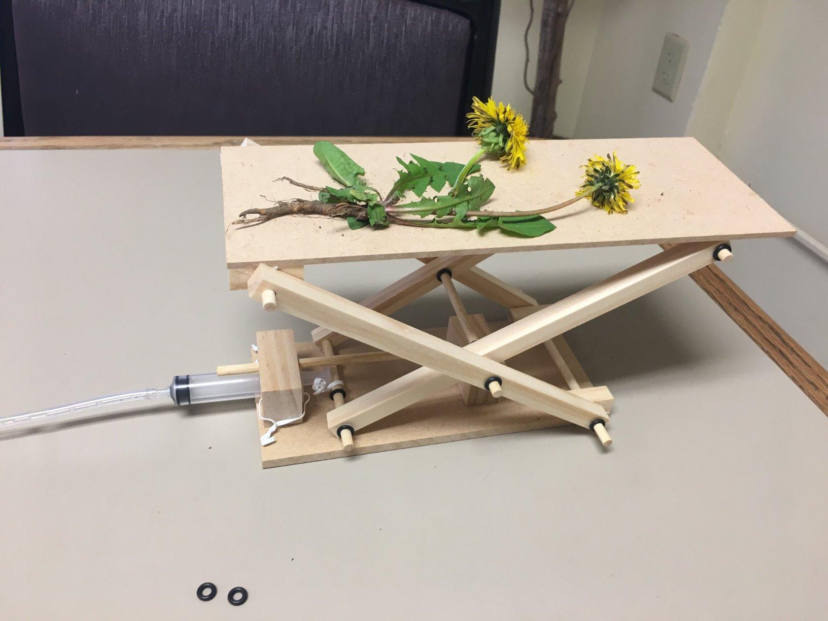 PATHFINDERS STEM Kit- Hydraulics 4-in-1 - Build 4 Hydraulic Machines | Engineering Model Kit for Kids 8+ | Educational Science Toy | Learn Physics & Mechanics | Wooden DIY Project customer photo 1