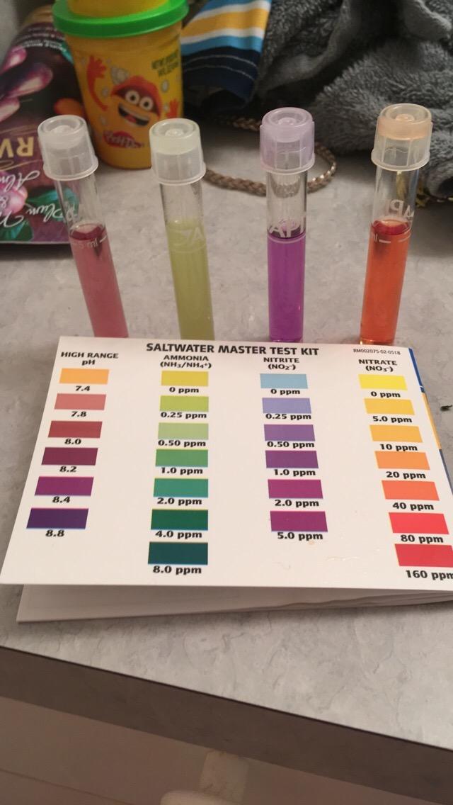 API SALTWATER MASTER TEST KIT 550-Test Saltwater Aquarium Water Test Kit customer photo 1