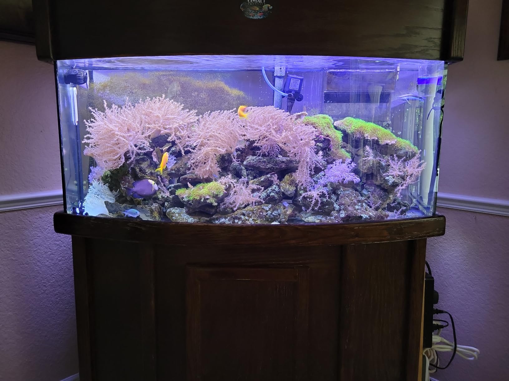 API SALTWATER MASTER TEST KIT 550-Test Saltwater Aquarium Water Test Kit customer photo 2