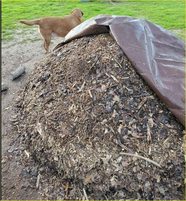 20 Inch Fahrenheit Backyard Compost Thermometer with Digital Composting Guide customer photo 2
