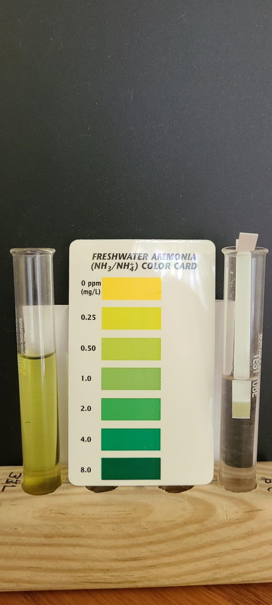 Tetra EasyStrips Complete Aquarium Water Test Kit, 25 Count | 7 Water Quality Tests In 1 Kit, Includes 25 6-In-1 Test Strips & 25 Ammonia Test Strips, For Freshwater & Saltwater Fish Tank customer photo 1