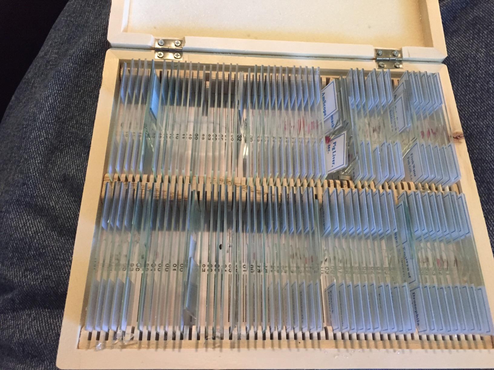 AmScope PS100A Prepared Microscope Slide Set for Basic Biological Science Education, 100 Slides, Set A, Includes Fitted Wooden Case customer photo 2