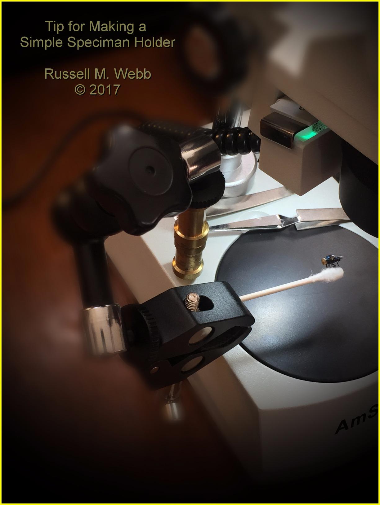 AmScope SE306R-P-LED Cordless LED Two Lights Stereo Microscope, 20X-40X Magnification Range, Cordless Battery Powered Built-In LED Illumination customer photo 1