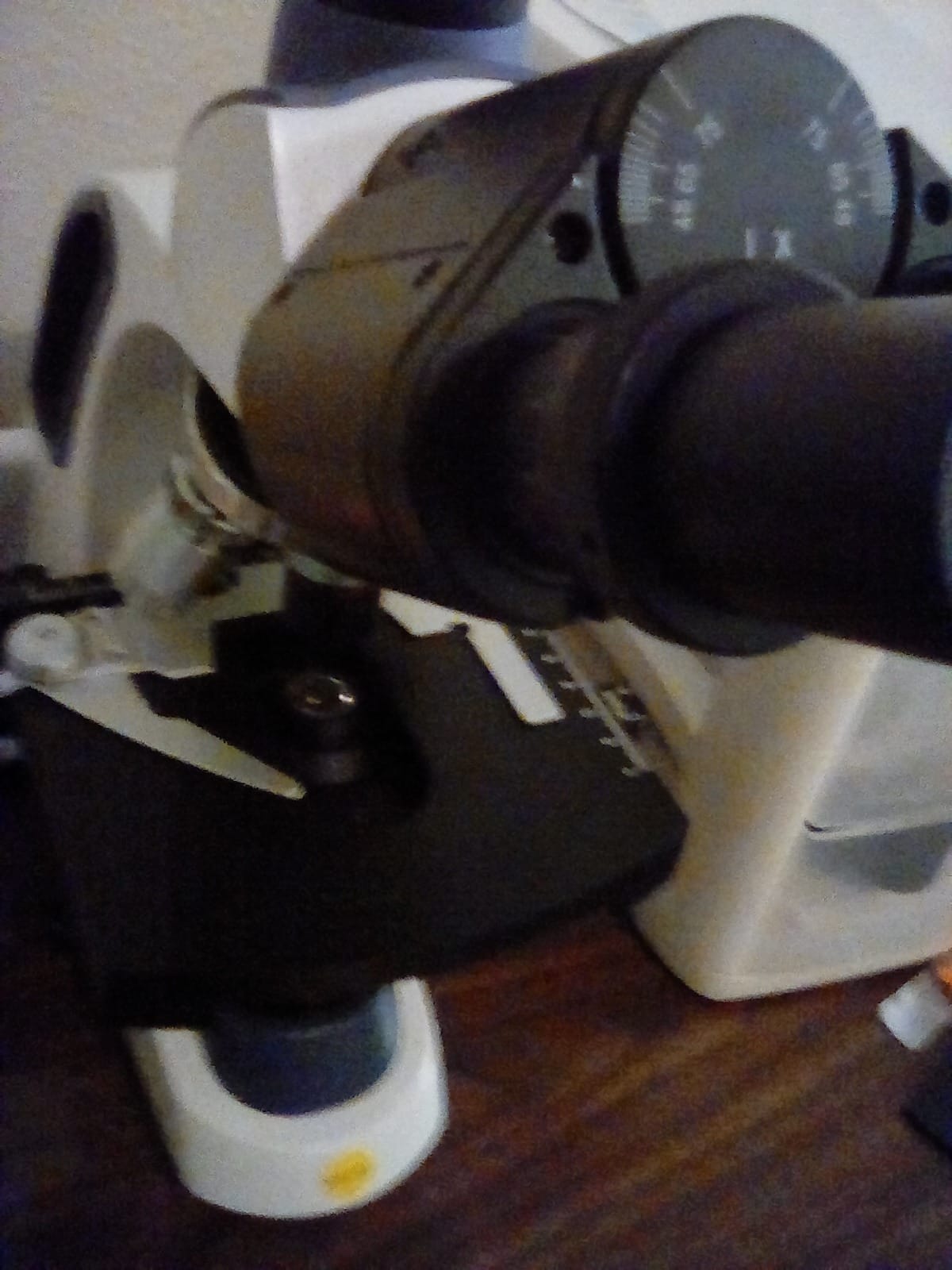 AmScope A60X 60X Achromatic Microscope Objective, Grey customer photo 2