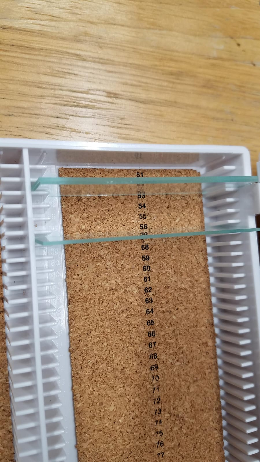 Heathrow Scientific HD15994E White Cork Lined 100 Place Microscope Slide Box customer photo 2