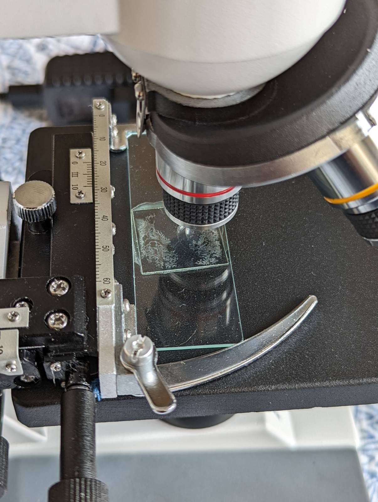 AmScope M150C-MS 1000X Biological Compound Microscope with Sturdy | 40X-1000X Magnification Range All-Metal Construction Optical Glass Lenses Mechanical Stage customer photo 1
