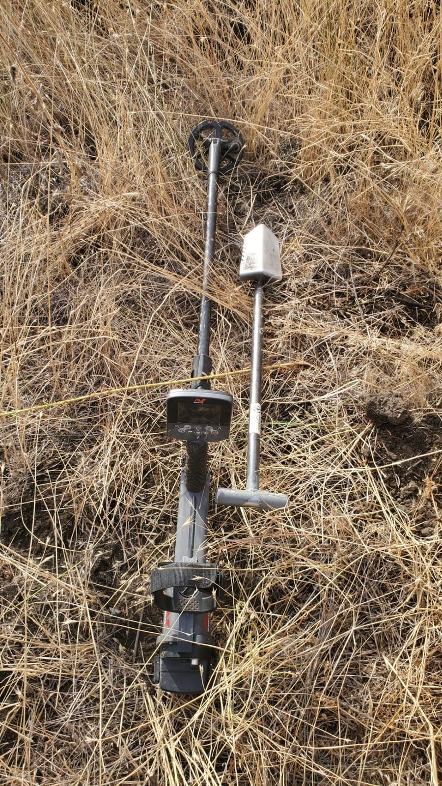 CTX 3030 All-Terrain High-Performance Metal Detector with Advanced Multi-Frequency Technology customer photo 2
