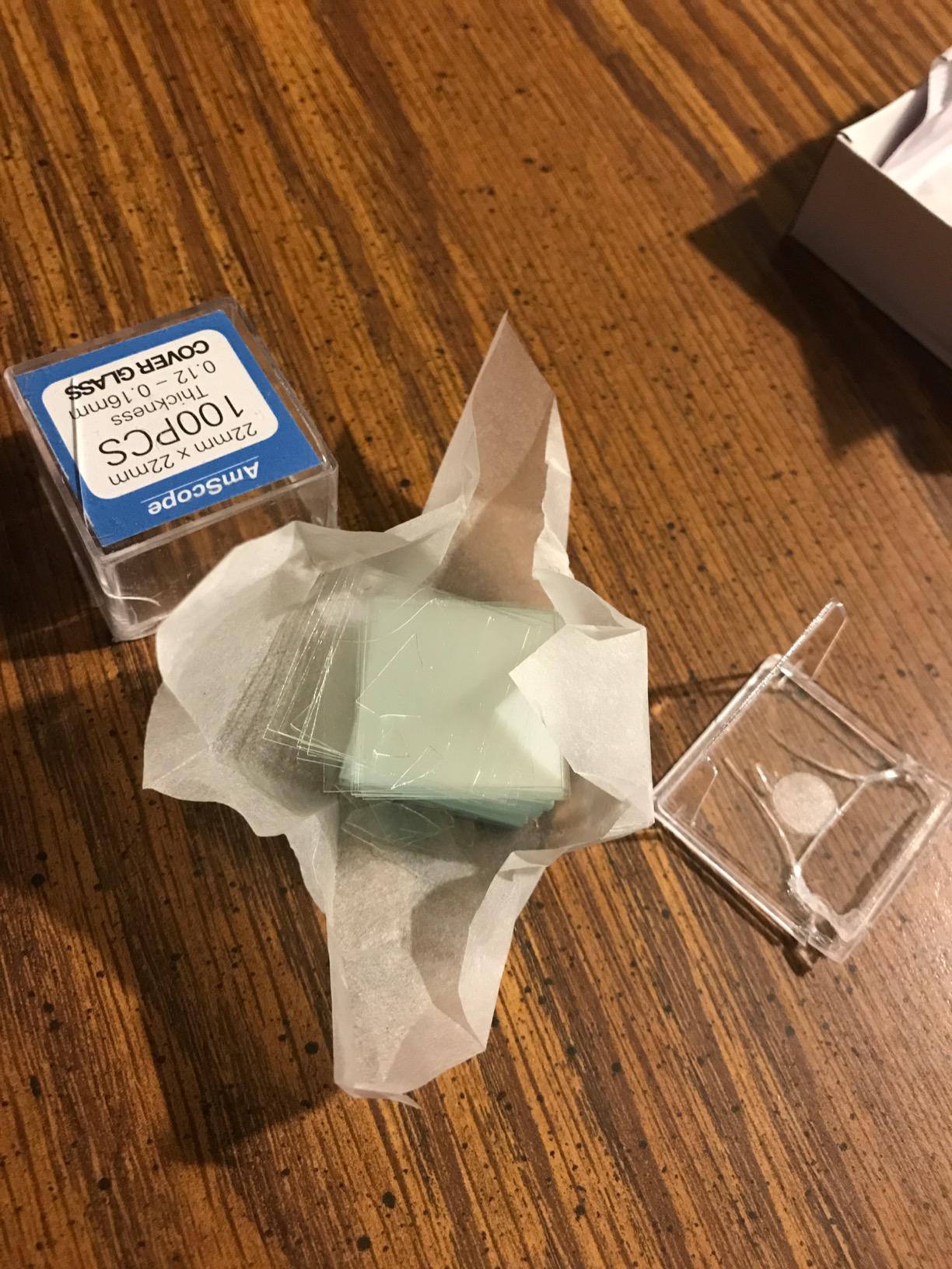 AmScope BS-100P-100S-22 Rectangular Blank Slides + Cover Slips 100/100, 100 Pre-Cleaned Microscope Slides with 100 Clear 22 x 22 mm Glass Cover Slips and Ground Edges customer photo 2
