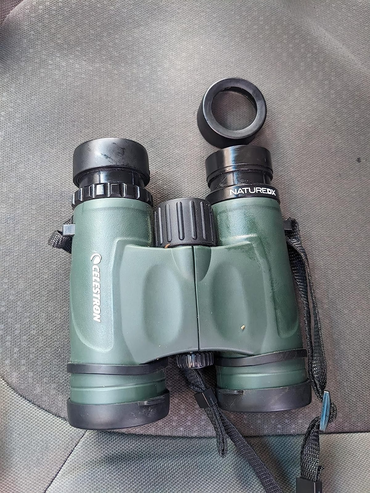 Celestron - Nature DX 8x32 Compact Lightweight Travel Binoculars | Compact 32mm Design, Wide 7.4 Degree Viewing Angle, Phase-Coated Optics, BaK-4 Prisms, Waterproof and Fogproof customer photo 2