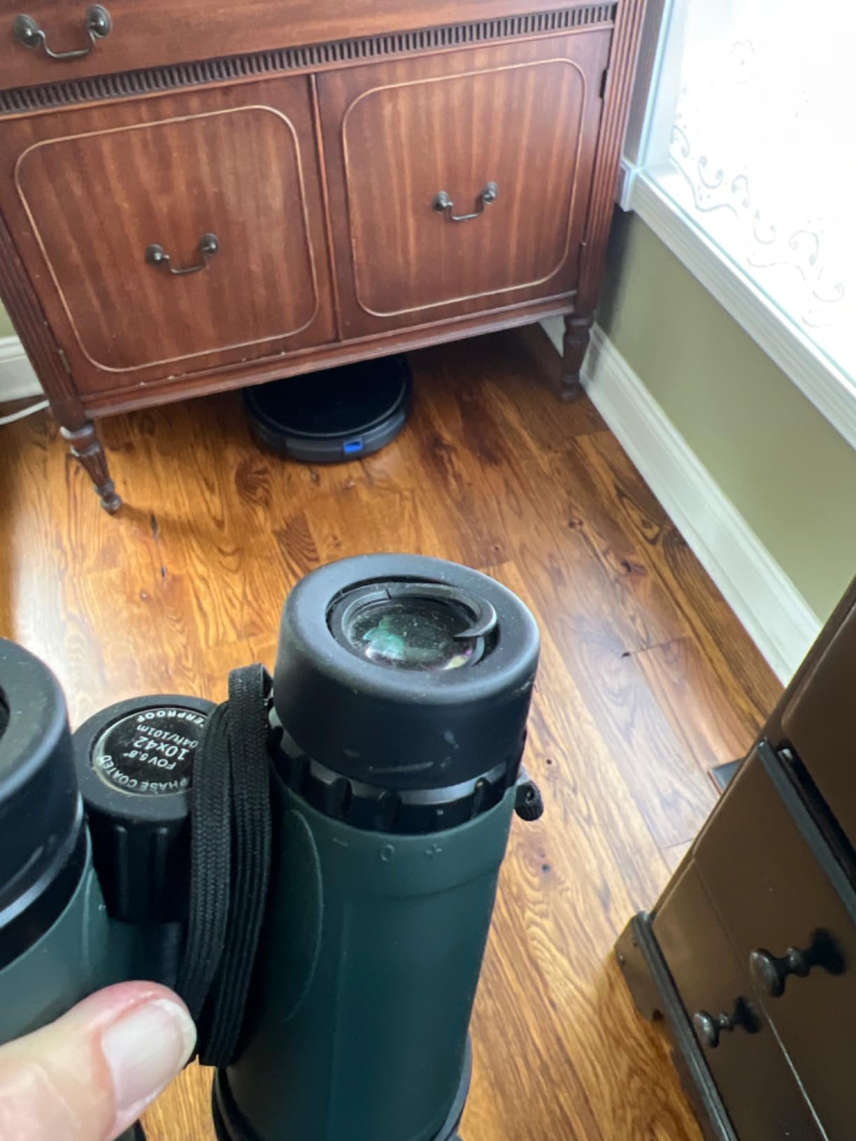 Celestron Nature DX 10x42 Waterproof Binoculars for Birding & Hiking customer photo 2