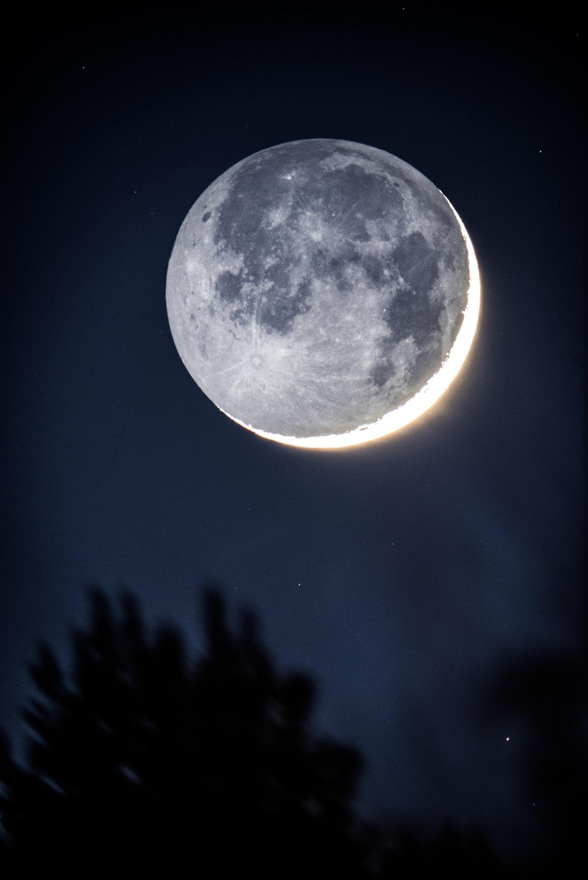 Celestron - Advanced VX 8