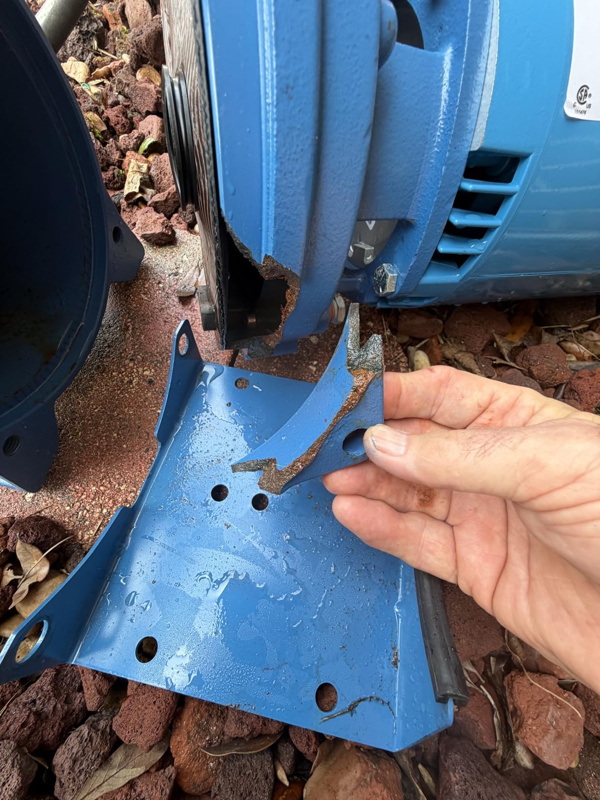 GOULDS Pumps GT15 IRRI-Gator Self-Priming Single Phase Centrifugal Pump, 1.5 hp, Blue customer photo 1