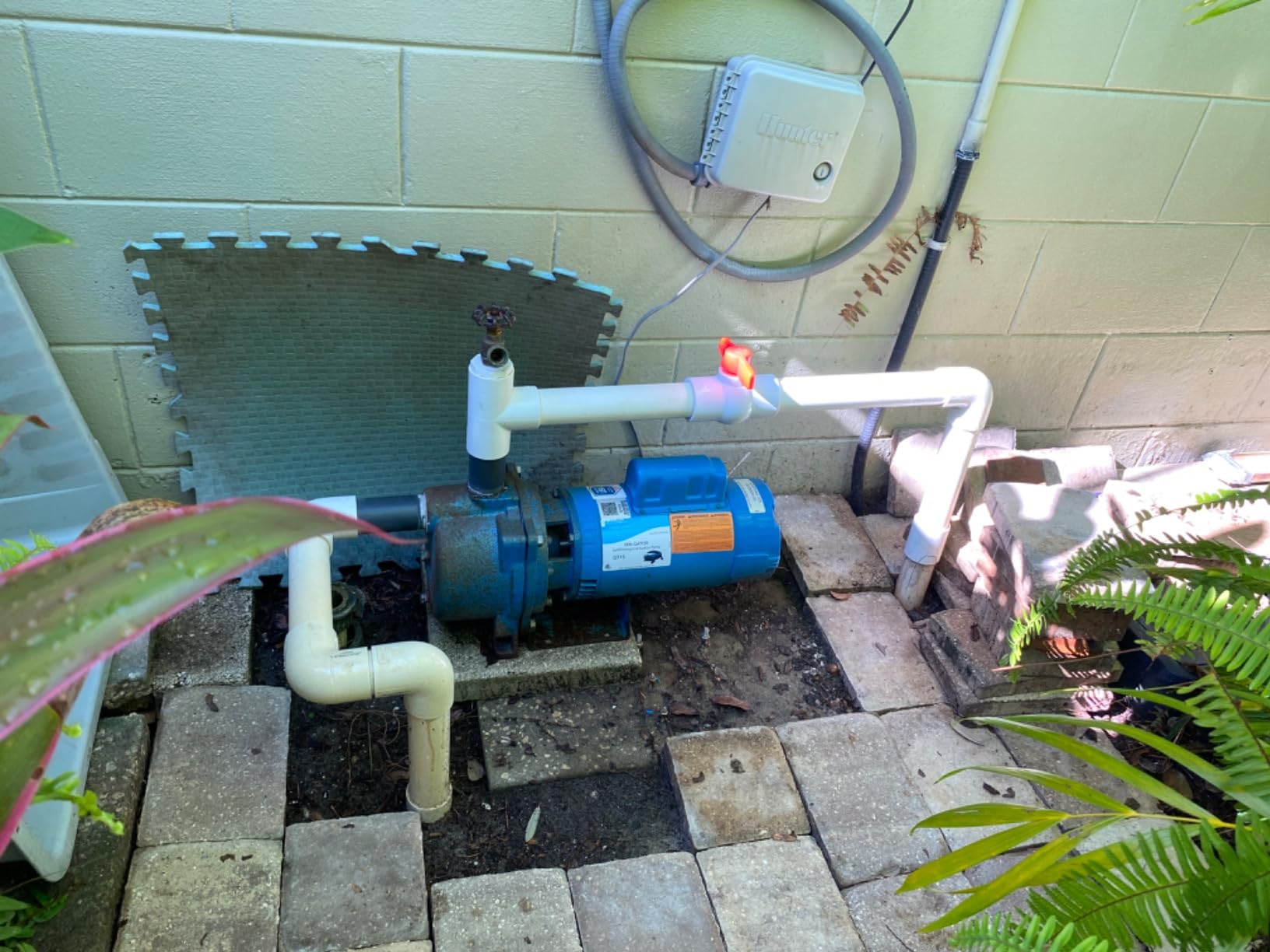 GOULDS Pumps GT15 IRRI-Gator Self-Priming Single Phase Centrifugal Pump, 1.5 hp, Blue customer photo 2