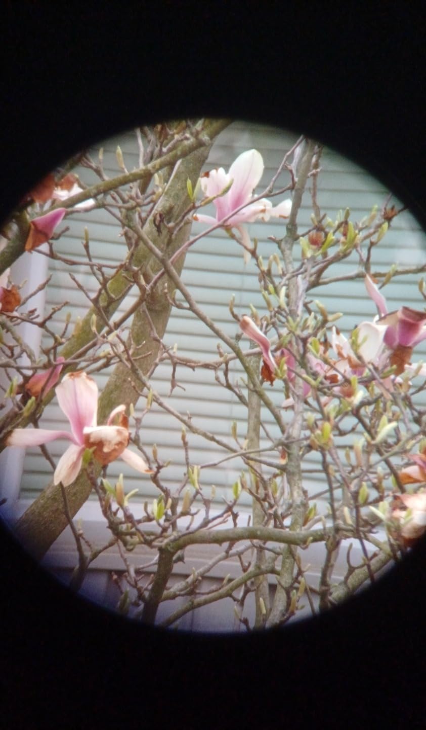 SVBONY 2X Barlow Lens, 1.25