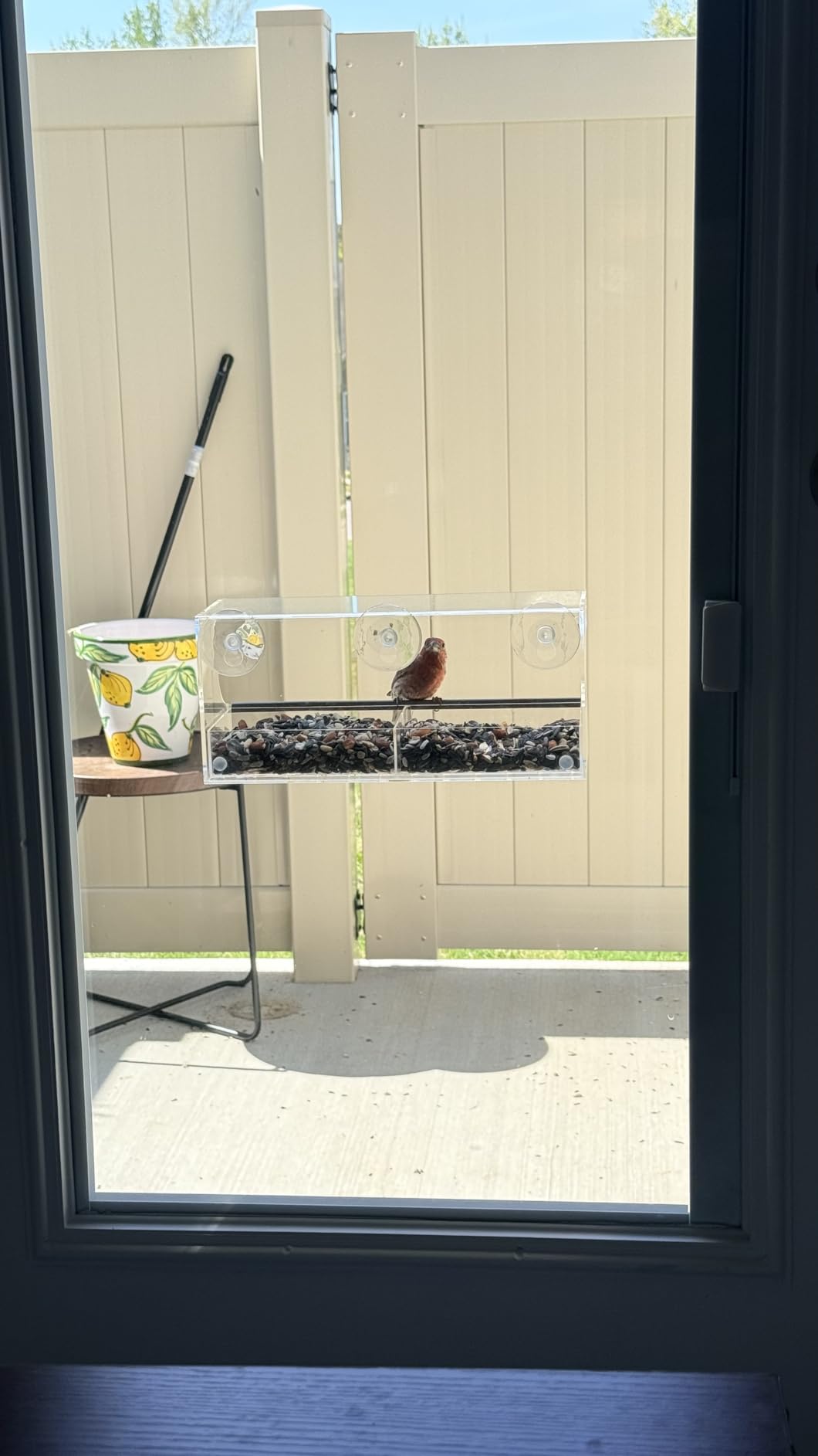 Window Bird Feeder by Nature's Hangout - No Assembly, Strong Suction Cups | Acrylic Bird Feeders for Outside Bird Watching for Cats Easy-to-Clean Birdhouse Bird Feeder for Window Viewing Slide-out Tray customer photo 1
