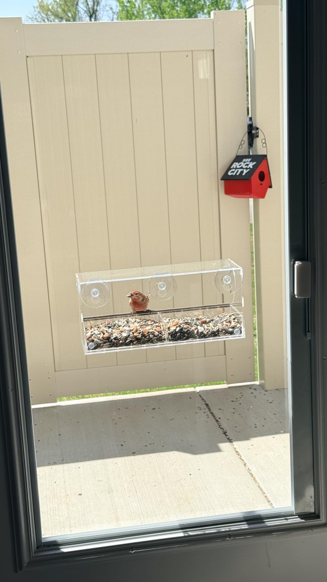 Window Bird Feeder by Nature's Hangout - No Assembly, Strong Suction Cups | Acrylic Bird Feeders for Outside Bird Watching for Cats Easy-to-Clean Birdhouse Bird Feeder for Window Viewing Slide-out Tray customer photo 2
