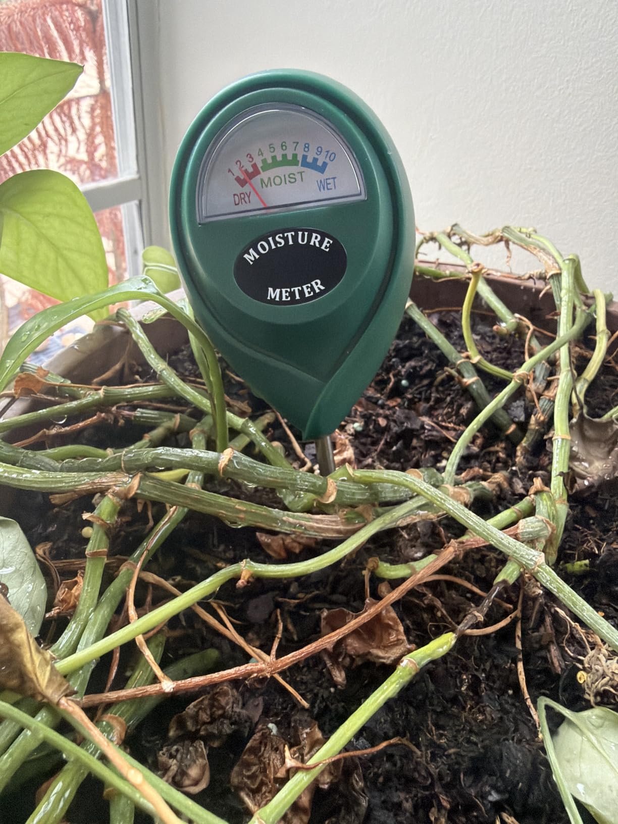 XLUX Plant Soil Moisture Meter, for Indoor and Outdoor use, Battery-Free, anti-rust 304 SST probe, Clear & Easy-to-Read Display, Single-Probe customer photo 2