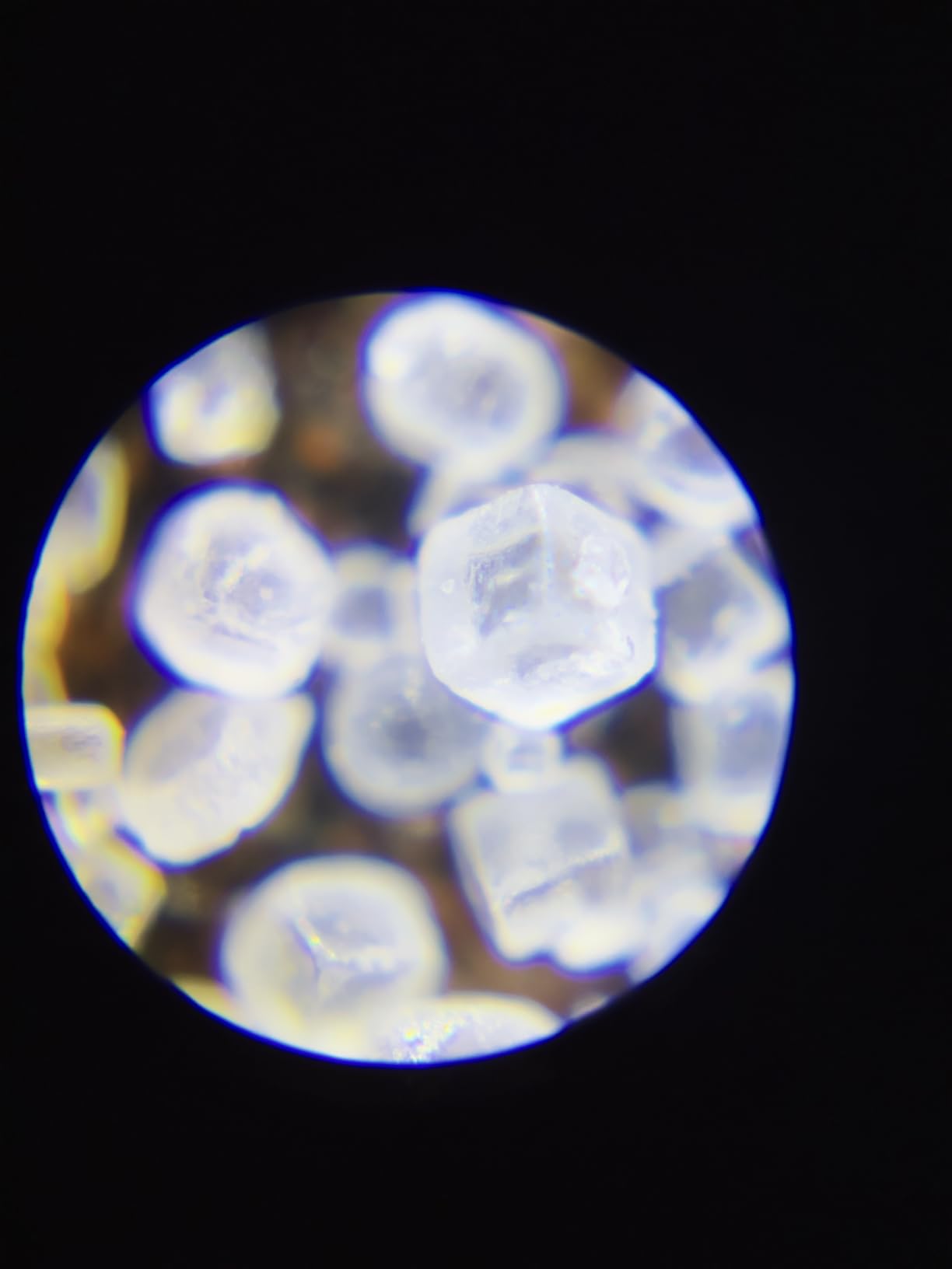 Carson MicroFlip 100x-250x LED UV Pocket Microscope with Smartphone Clip (MP-250) customer photo 1