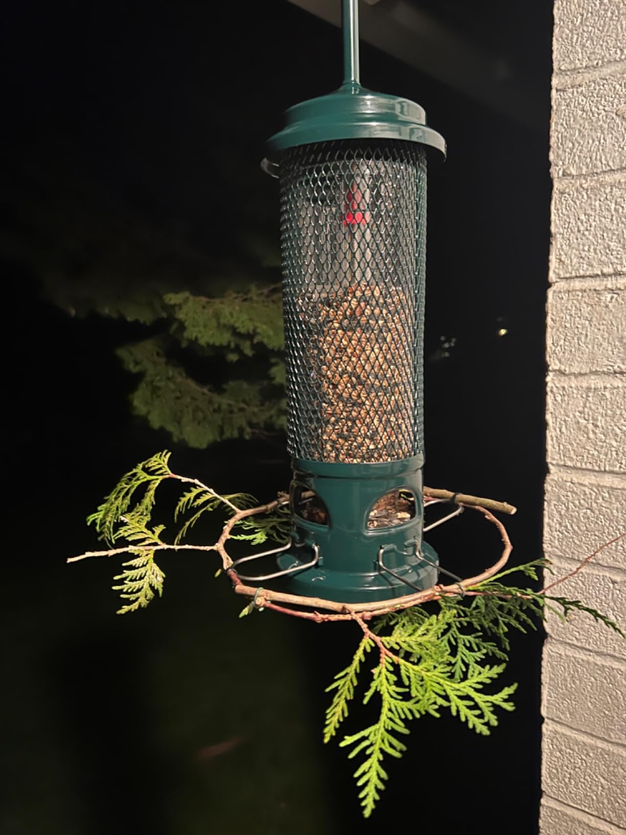 Squirrel Buster Legacy Squirrel-Proof Bird Feeder for Wild Birds - 4 Metal Removable Perches, 2.6 lb Seed Capacity, Chew-Proof Design, Easy to Clean, Green customer photo 1