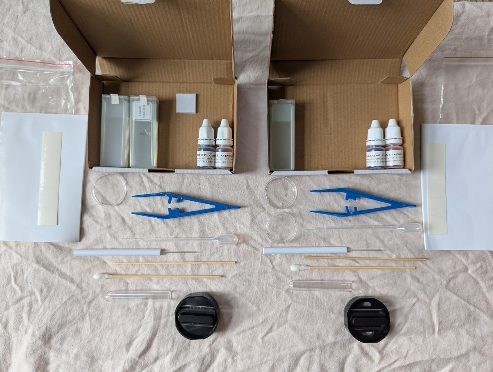 AmScope SP-14 Microscope Slide Preparation Kit - Includes Blank | Precision Tip Anti-Static Stainless Steel Lightweight Ergonomic Design customer photo 2