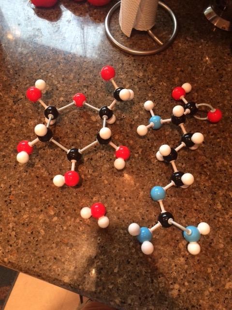 Organic Chemistry Molecular Model Student Kit - (88 Atoms and 140 Bond Parts) - MM-004 customer photo 1