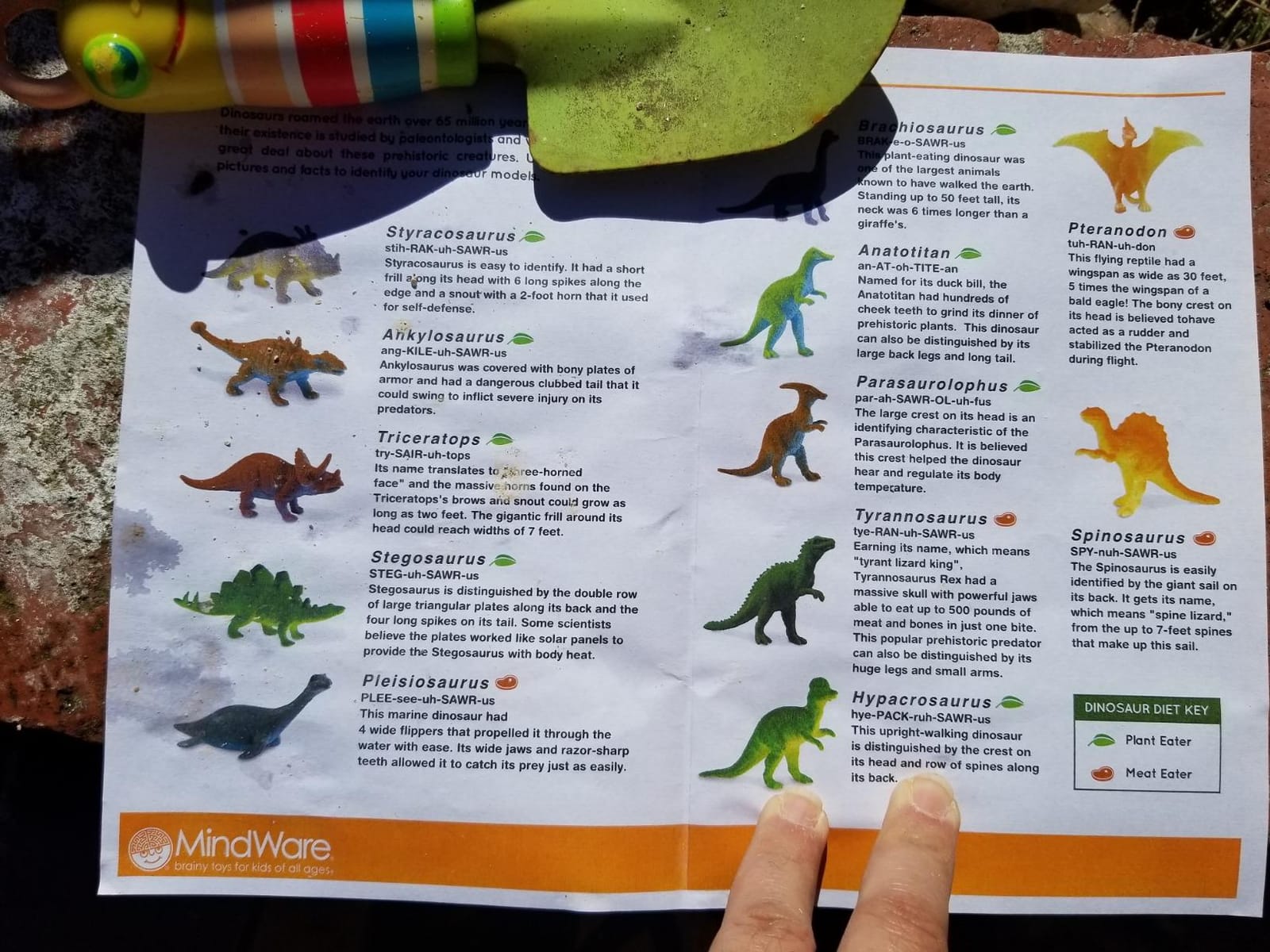 MindWare Dig It Up! Dinosaur Eggs Excavation Kit | Chip real specimens out of a dig brick-hands-on discovery kids run themselves. customer photo 2