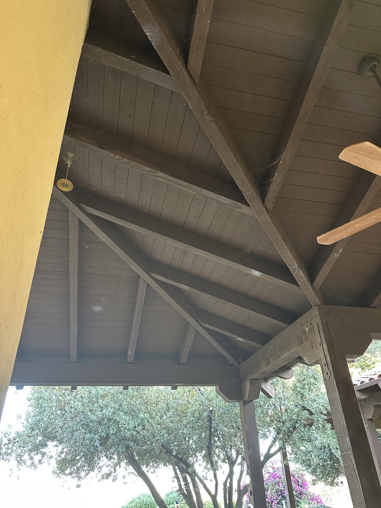 Cleanrth CB006 Advanced Ultrasonic Bat Repelling System | Features Batonic Technology, indoor/outdoor defender for homes, attics & barns customer photo 2