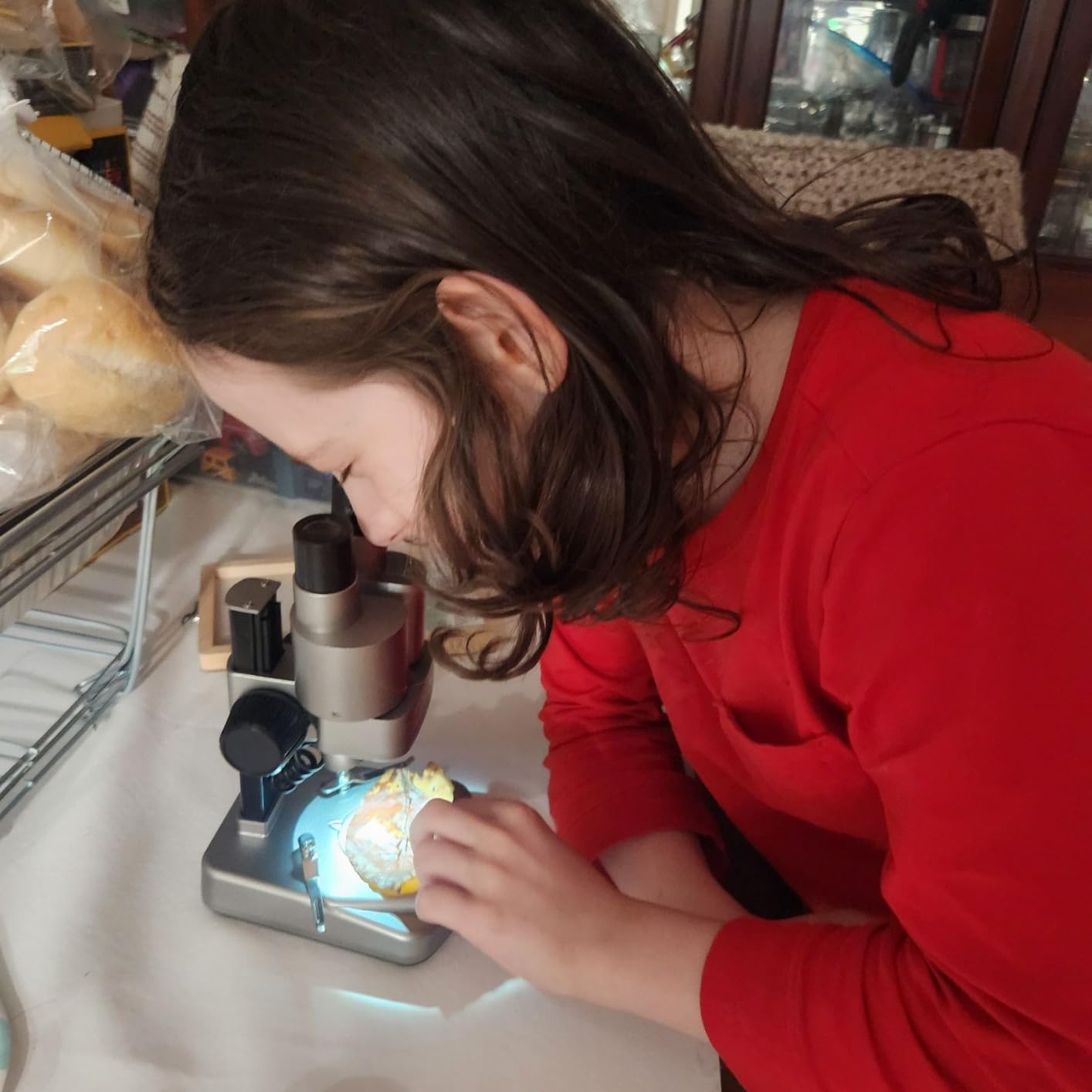 National Geographic Dual LED Microscope Science Kit for Kids Ages 8-12 | Dual LED Illumination, 10 Prepared Slides, 10 Blank Slides, 50+ Pieces, Biology Experiments, STEM Learning, Birthday Gift customer photo 2