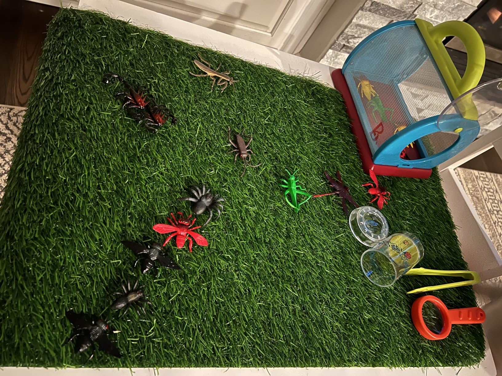 B. toys Bug Bungalow Bug Catching Kit with Mesh Bug House Case, Summer | 4-piece insect catching kit with mesh case, magnifying container, tweezers, magnifier, carry handle for nature play, 3+ Years customer photo 2