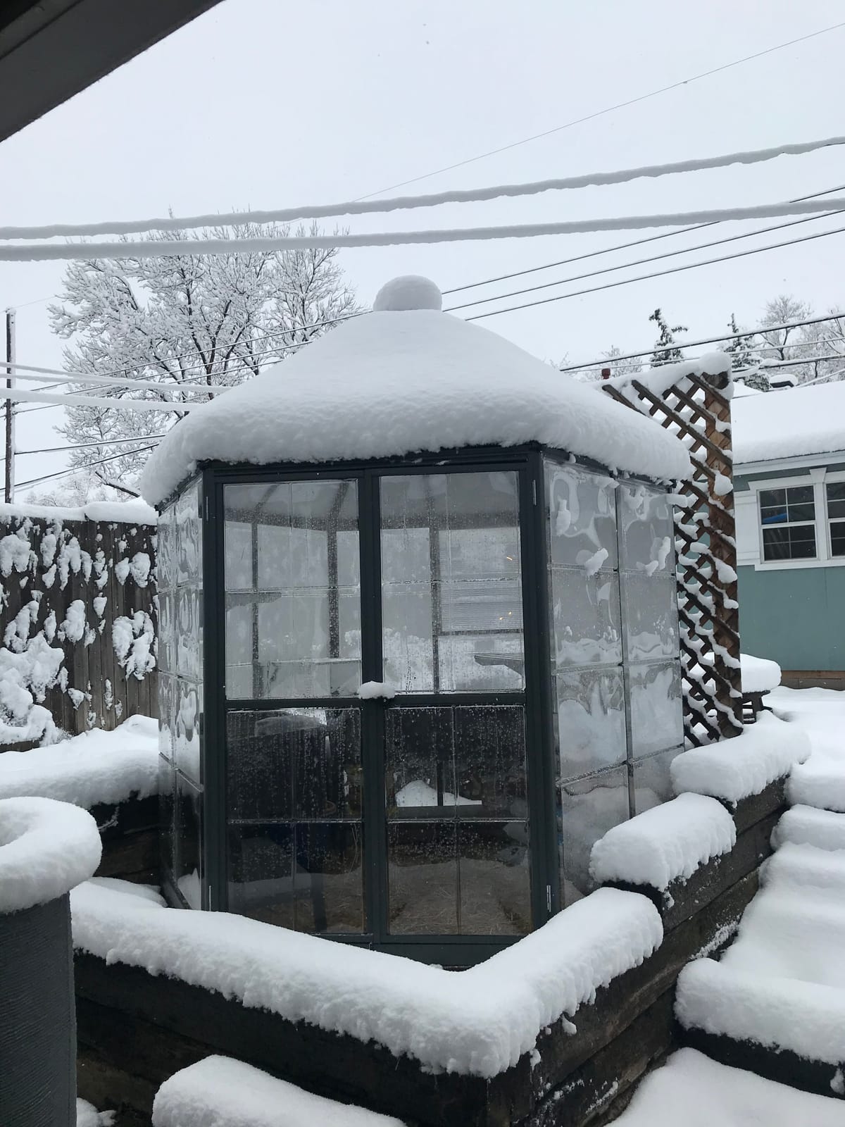 Palram - Canopia Oasis Hex 7' x 8' Polycarbonate Aluminum Greenhouse, Gray | Outdoor Backyard Home Garden Walk-In DIY Kit, Twin-Wall UV Protected, Heavy-Duty Aluminum Frame, Lockable Door, Roof Vent customer photo 1