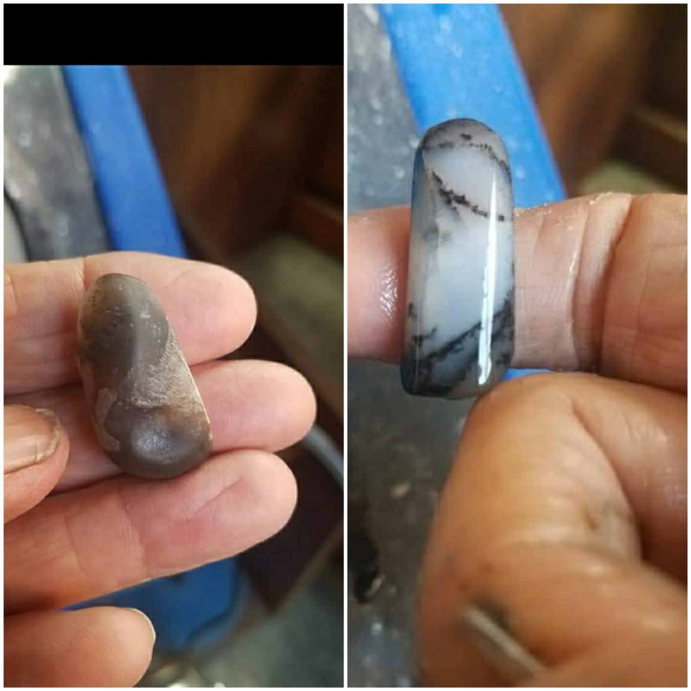 Hi-Tech Diamond 6