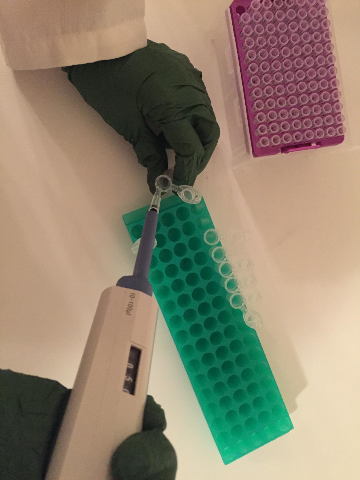 Complete 4 Micropipettes Kit: 4 Pipettors (0.5-10ul 10-100ul 100-1000ul 1000-5000ul); Pipette Stand; 3 Racks of 96 Sterile Pipette Tips customer photo 2