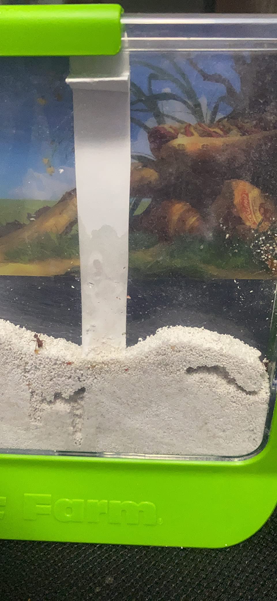 Uncle Milton Giant Ant Farm - Large Viewing Area - Care for Live Ants - Nature Learning Toy - Science DIY Toy Kit - Great Gift for Boys & Girls, Green customer photo 2