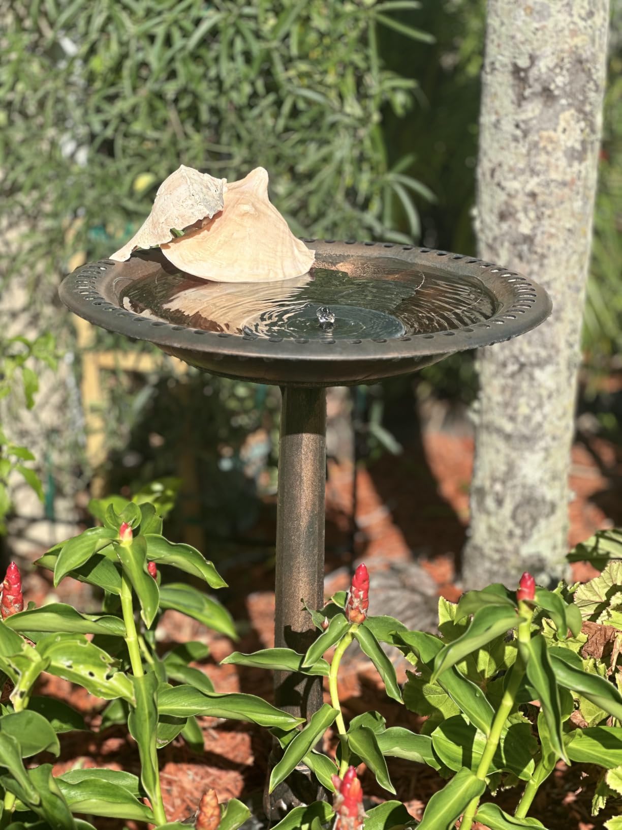 VIVOHOME Bird Bath for Outside, Polyresin Pedestal Birdbath, Green | Weather-Resistant, 20-Inch Bowl, 28-Inch Height, for Outdoor/Garden, Bird-Friendly, Easy to Clean customer photo 2
