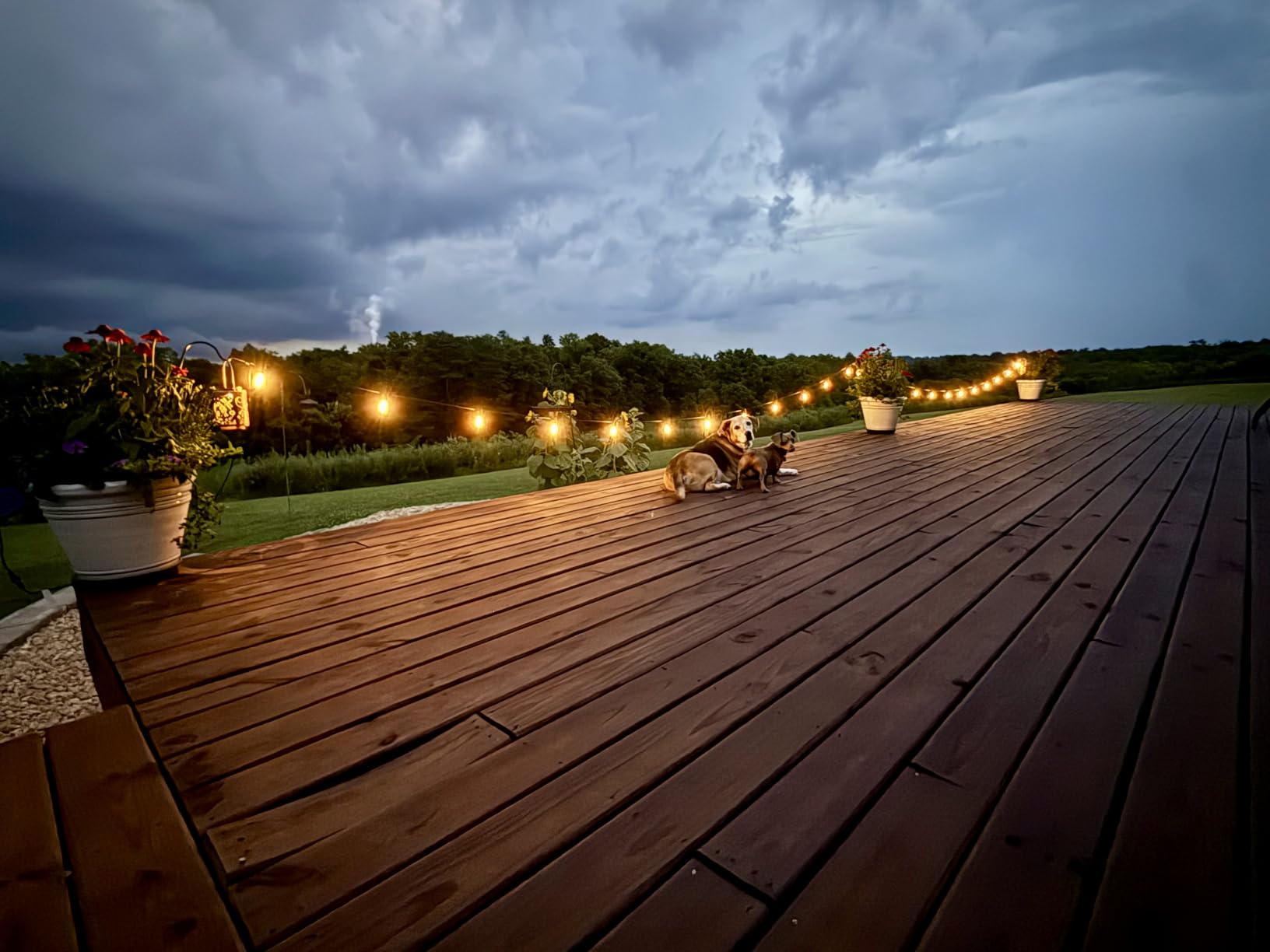 Brightech Ambience Pro Solar Powered Outdoor String Lights - 27 ft Commercial Grade Waterproof Edison Patio Lights, Shatterproof LED String Lights for Outside, Porch - 12 Bulbs, 1W Soft White customer photo 1