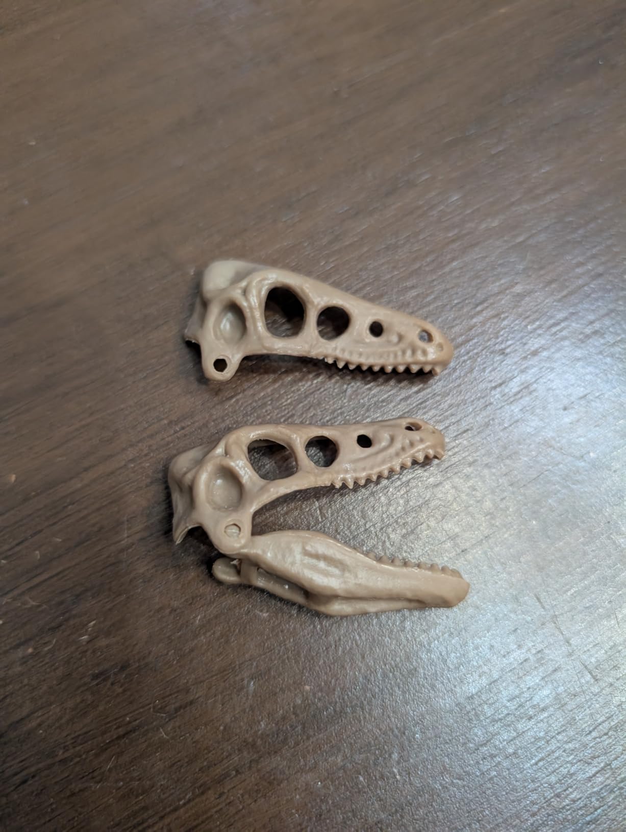 Discovery Dinosaur Fossil Dig Kit - Excavate & Assemble T-Rex & Velociraptor Skeletons | 3D Dino Bones Puzzles | Jurassic Paleontology Toy for Kids | STEM Science Activity Set | Girls & Boys Gift Ages 6+ customer photo 1