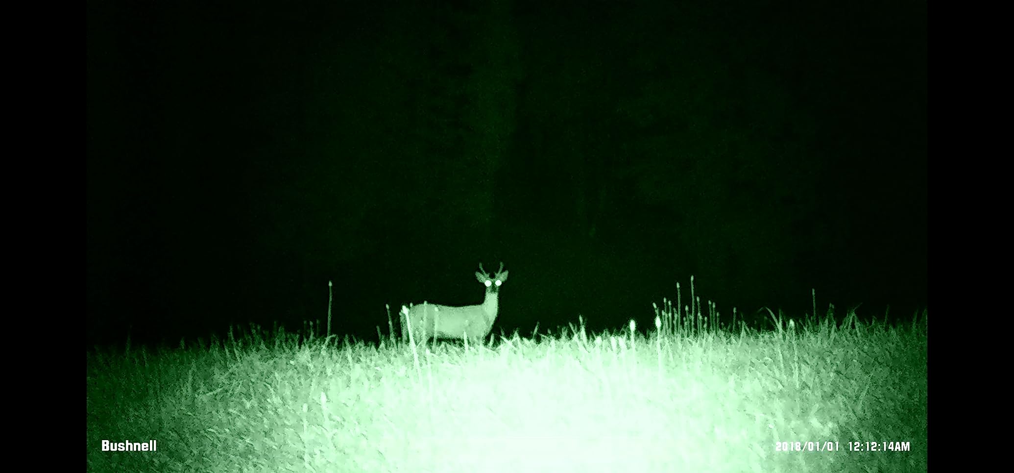 Bushnell Night Vision Equinox Z2 Monocular customer photo 1