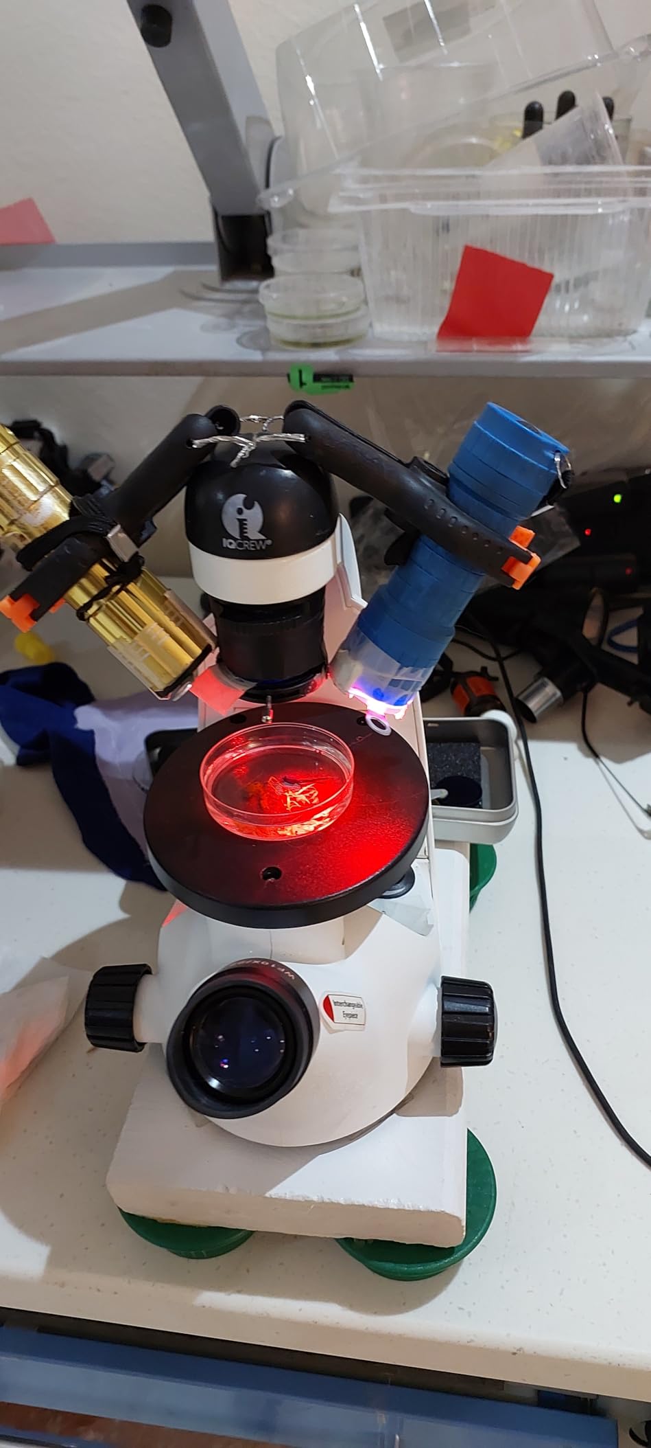 AmScope IN50C-PB10 500X Inverted Microscope Kit | 40X-500X Magnification Range customer photo 2
