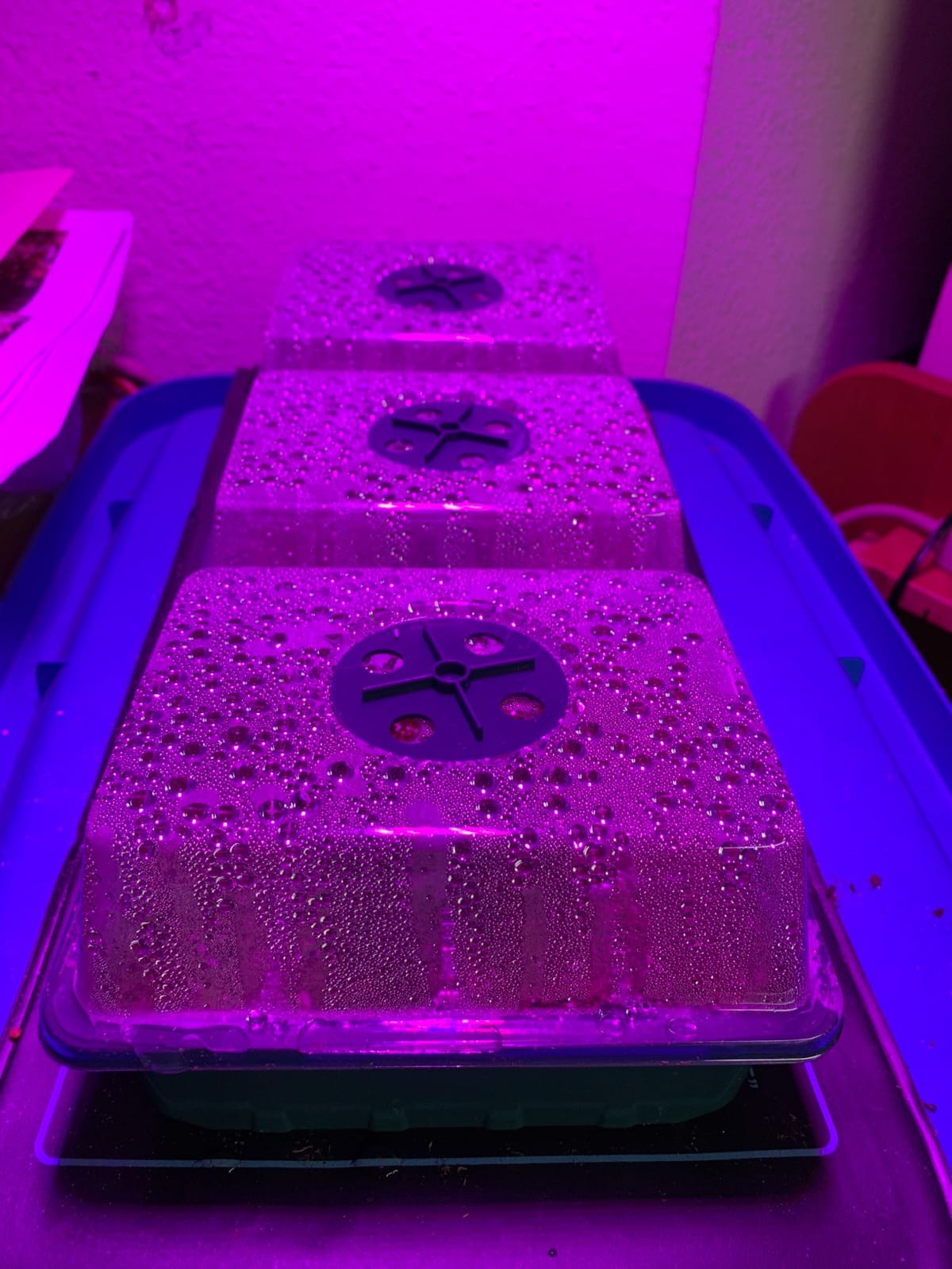 LED Grow Lights for Indoor Plants, Panel Plant Light Full Spectrum with IR & UV Bulbs for Seedlings,Micro Greens,Clones,Succulents (Size:9.9x9.9inches) customer photo 1